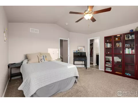 1291 Baker Pass St, Windsor, CO 80550 photo 22