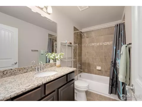 1291 Baker Pass St, Windsor, CO 80550 photo 29
