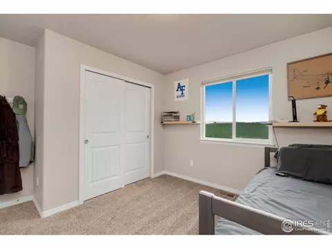1291 Baker Pass St, Windsor, CO 80550 photo 30