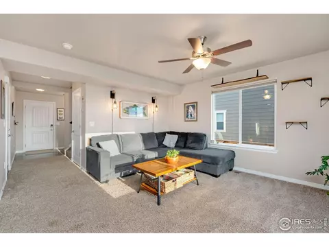1291 Baker Pass St, Windsor, CO 80550 photo 9