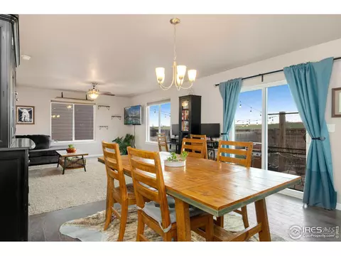 1291 Baker Pass St, Windsor, CO 80550 photo 13