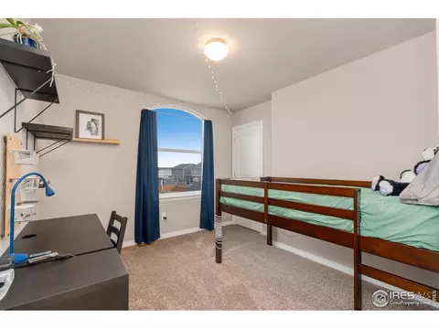 1291 Baker Pass St, Windsor, CO 80550 photo 25