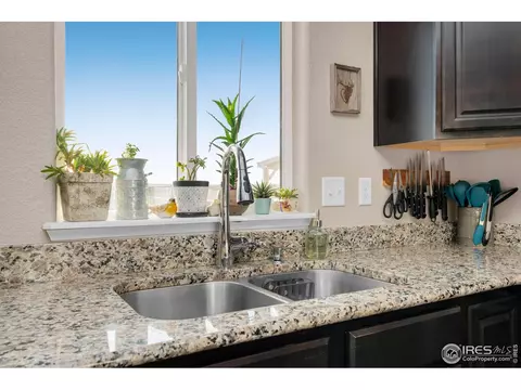 1291 Baker Pass St, Windsor, CO 80550 photo 18
