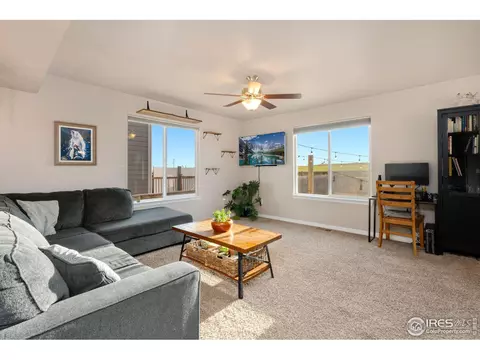 1291 Baker Pass St, Windsor, CO 80550 photo 8