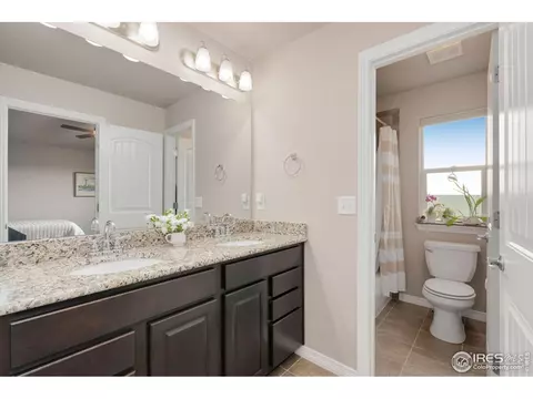 1291 Baker Pass St, Windsor, CO 80550 photo 23