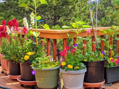 2371 Linden Dr, Boulder, CO 80304 photo 36