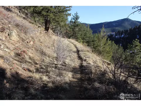 0 Gold Run Rd, Boulder, CO 80302 photo 11
