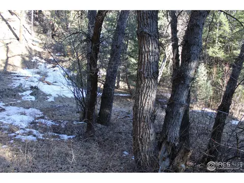 0 Gold Run Rd, Boulder, CO 80302 photo 22