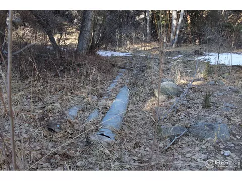 0 Gold Run Rd, Boulder, CO 80302 photo 9