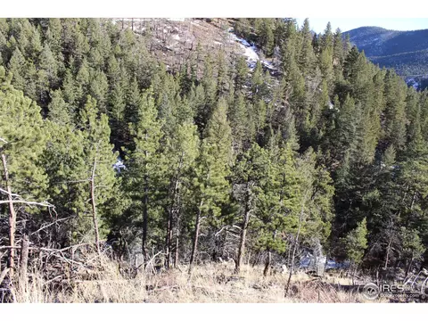 0 Gold Run Rd, Boulder, CO 80302 photo 4