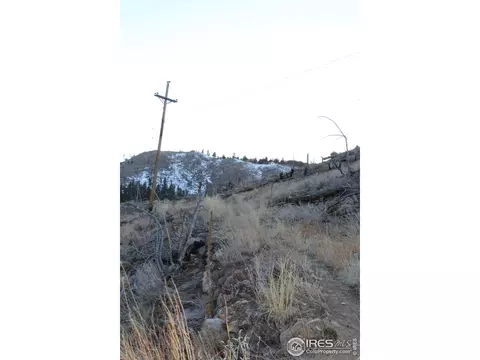 0 Gold Run Rd, Boulder, CO 80302 photo 7