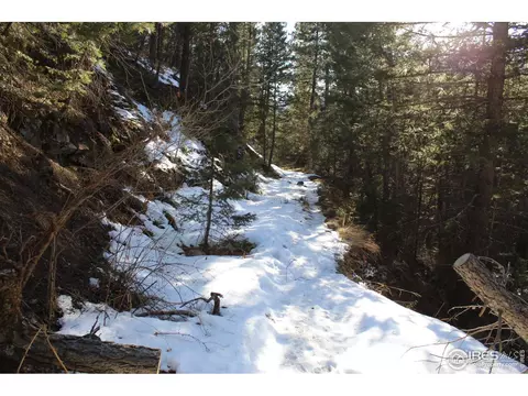 0 Gold Run Rd, Boulder, CO 80302 photo 14