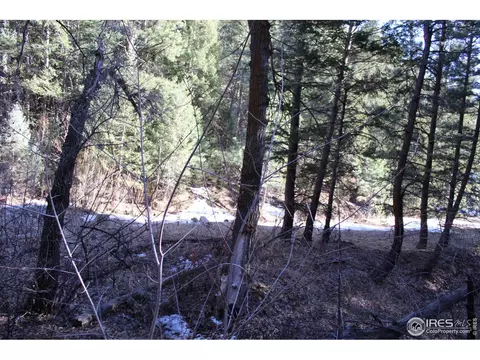 0 Gold Run Rd, Boulder, CO 80302 photo 3