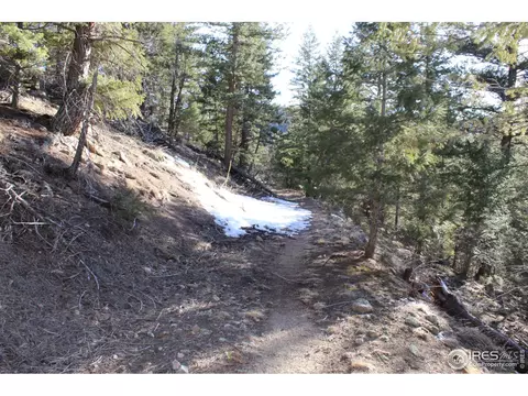 0 Gold Run Rd, Boulder, CO 80302 photo 8