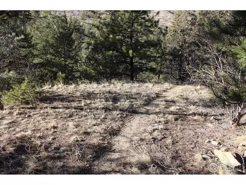 0 Gold Run Rd, Boulder, CO 80302 photo 13