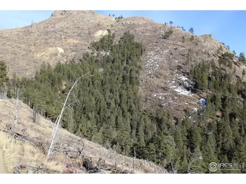 0 Gold Run Rd, Boulder, CO 80302 photo 10