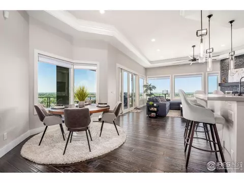 1175 Falcon Ct, Windsor, CO 80550 photo 8