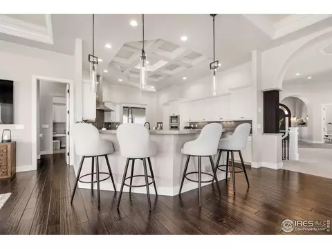 1175 Falcon Ct, Windsor, CO 80550 photo 9