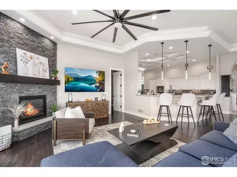 1175 Falcon Ct, Windsor, CO 80550 photo 15