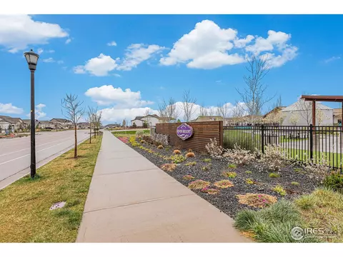 1509 Heirloom Dr, Windsor, CO 80550 photo 35