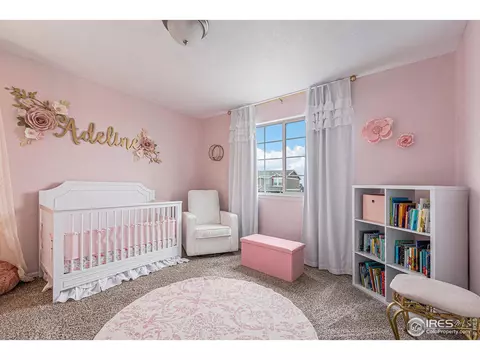 1509 Heirloom Dr, Windsor, CO 80550 photo 25