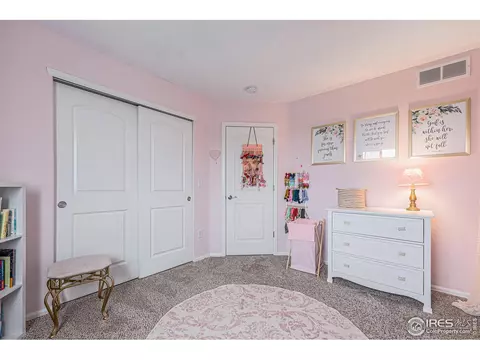 1509 Heirloom Dr, Windsor, CO 80550 photo 26