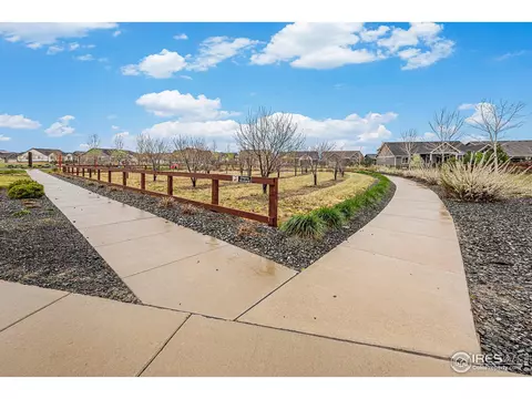 1509 Heirloom Dr, Windsor, CO 80550 photo 32