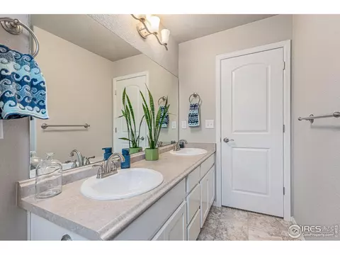 1509 Heirloom Dr, Windsor, CO 80550 photo 24