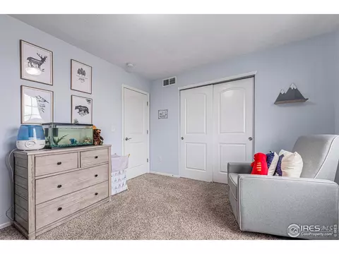 1509 Heirloom Dr, Windsor, CO 80550 photo 23