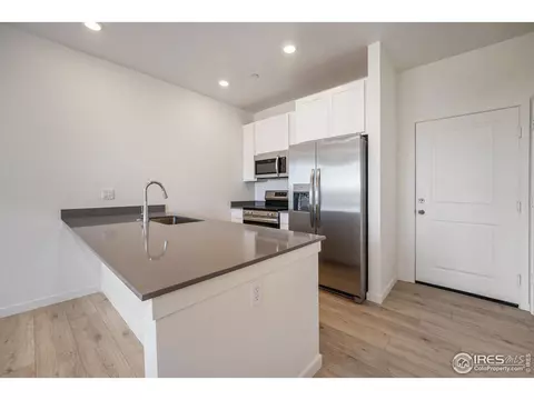 5476 Second Ave, Timnath, CO 80547 photo 6