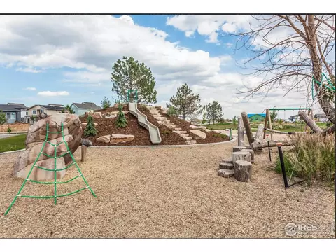 5000 Mckinnon Ct, Timnath, CO 80547 photo 35