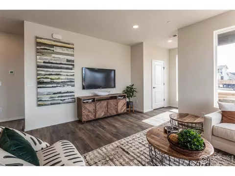 5000 Mckinnon Ct, Timnath, CO 80547 photo 10