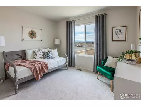 5000 Mckinnon Ct, Timnath, CO 80547 photo 28