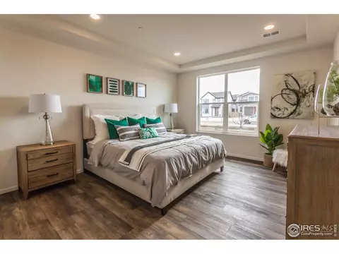 5000 Mckinnon Ct, Timnath, CO 80547 photo 18
