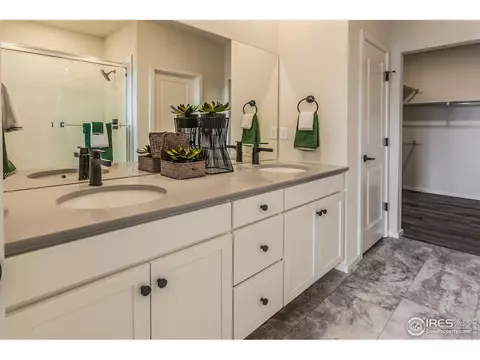 5000 Mckinnon Ct, Timnath, CO 80547 photo 20