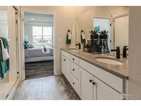 5000 Mckinnon Ct, Timnath, CO 80547 photo 19