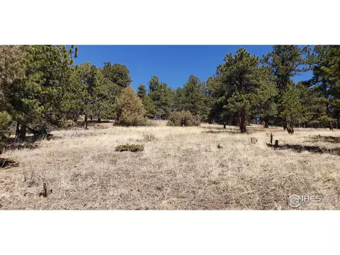 4900 Conifer Hill Rd, Lyons, CO 80540 photo 6