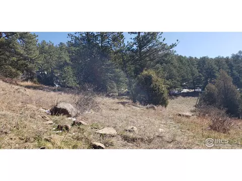 4900 Conifer Hill Rd, Lyons, CO 80540 photo 14