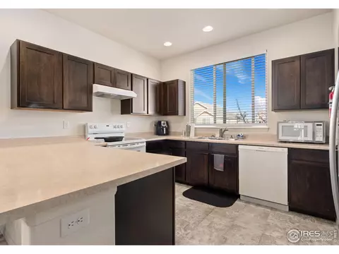 1478 First Light Dr, Windsor, CO 80550 photo 4