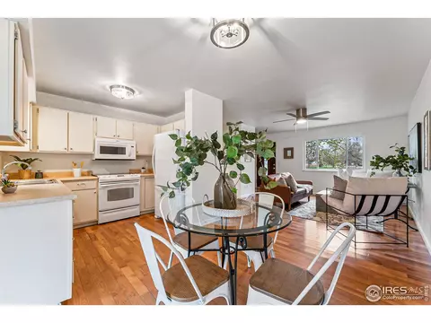 521 10th St, Windsor, CO 80550 photo 12