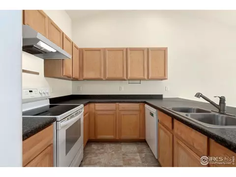874 Sunlight Peak Dr, Windsor, CO 80550 photo 17