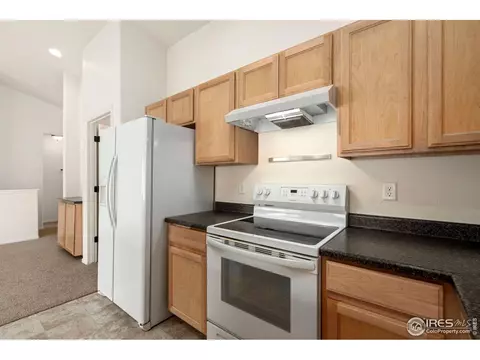 874 Sunlight Peak Dr, Windsor, CO 80550 photo 18