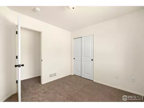 874 Sunlight Peak Dr, Windsor, CO 80550 photo 28