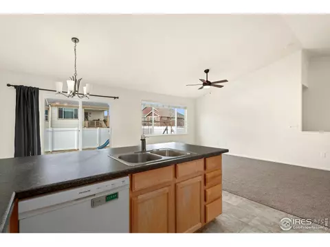 874 Sunlight Peak Dr, Windsor, CO 80550 photo 19