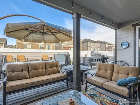 1878 Tinker Dr, Windsor, CO 80550 photo 24