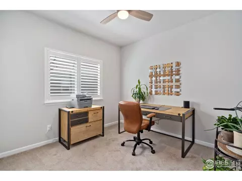 289 Saskatoon Dr, Windsor, CO 80550 photo 27