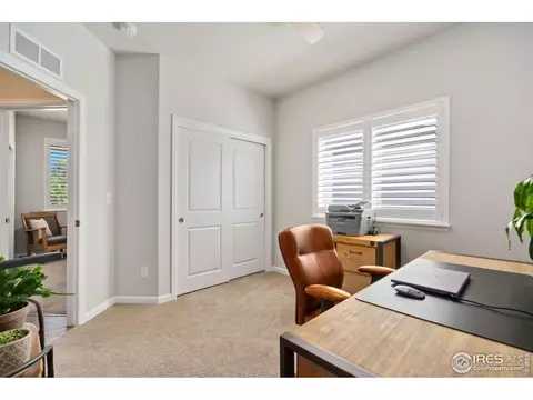 289 Saskatoon Dr, Windsor, CO 80550 photo 28