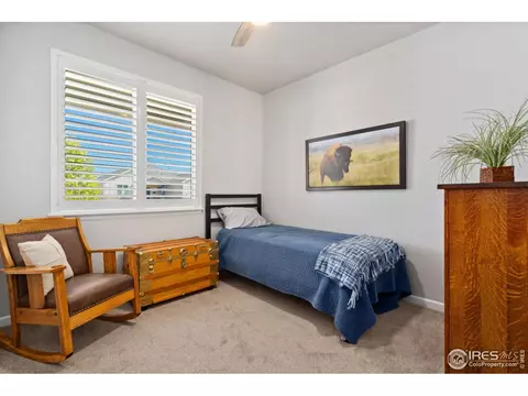 289 Saskatoon Dr, Windsor, CO 80550 photo 25