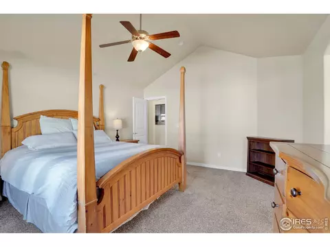 496 Gannet Peak Dr, Windsor, CO 80550 photo 15