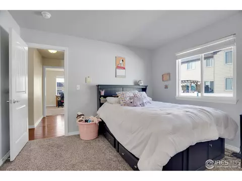 496 Gannet Peak Dr, Windsor, CO 80550 photo 20